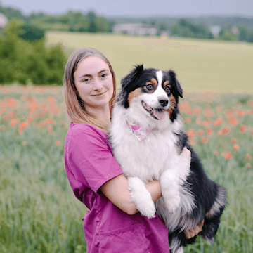 Consilium Anoukie Gut beraten fuer alle Fellnasen Kontakt